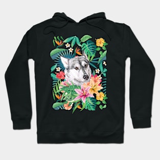 Tropical Siberian Husky 1 Hoodie